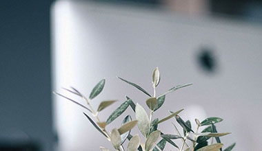 ъпгрейд за Apple Mac